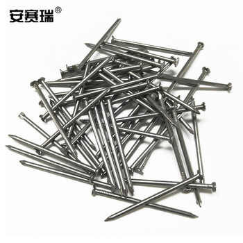 安赛瑞 铁钉 铁钉子 圆钉 洋钉 木工钉 木板钉 10mm（1kg装）22284