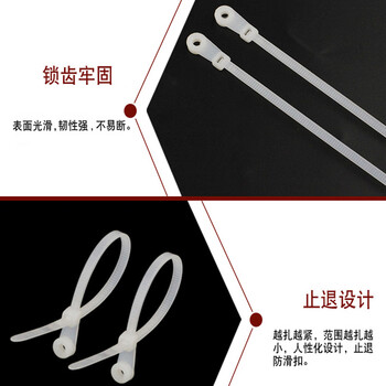 飞尔（FLYER）尼龙固定头扎带 螺丝圆孔固定头式束线带【5×220mm 100条】