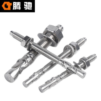 腾驰（CT）020 车修壁虎 316不锈钢 车修膨胀螺栓  M8*80（10个装）