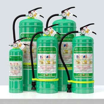 华消手提式水基灭火器碳钢2L水基灭火器家庭用商用灭火器 酒店厂房消防水基灭火器车载 消防年检灭火器