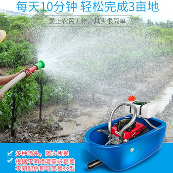 锐尔（real）船式喷灌机四冲程燃油农用水泵抽水机1.5寸自吸漂浮手提式浇溉浇地淋菜机  两冲程TB43喷灌机