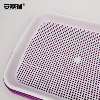 安赛瑞 芽苗菜盘 双层芽苗菜育苗盘小麦水培植盆育苗盆双层多功能芽菜盘 内盘32.3×23.5×3.6cm 紫色 530516