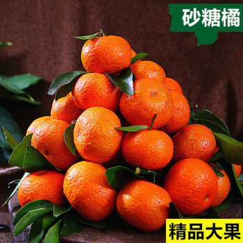 晨臻超甜广西沙糖橘子新鲜10斤砂糖橘水果皮薄桔子柑橘公司团建5斤