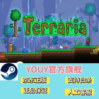 steampc正版游戏terraria泰拉瑞亚多人联机标准版简体中文