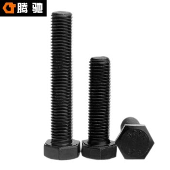 腾驰（CT） 外六角螺丝 DIN933 合金钢 12.9 发黑  M16-2*80全牙5支/包