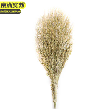 京洲实邦 竹竿扫把1把装 手工竹扫帚竹笤帚物业大扫把环卫JZSB-9291
