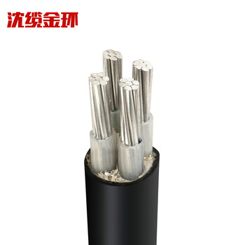 沈缆金环 ZR-YJLV-0.6/1KV-4*50mm² 国标铝芯阻燃电力电缆 1米