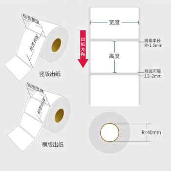 飞尔（FLYER）彩色标签纸 三防热敏不干胶打印纸 贴纸吊牌纸粘纸【100x60mmx500张 5卷 绿色】