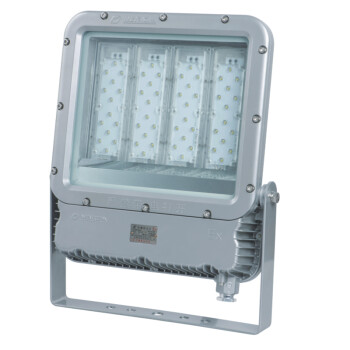 华荣 RLEEXL5330-XL200 200W、IIB、220V、5500K左右、LED 防爆投光灯 1.00 盏/套 (计价单位：套) 灰色