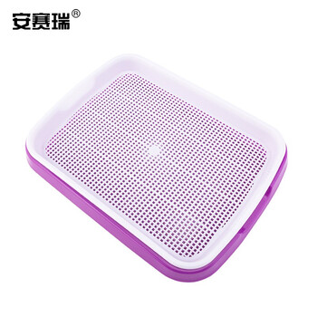安赛瑞 芽苗菜盘 双层芽苗菜育苗盘小麦水培植盆育苗盆双层多功能芽菜盘 内盘32.3×23.5×3.6cm 紫色 530516