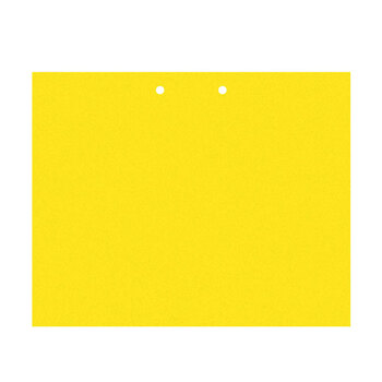 益美得  LD-3008 双面胶粘虫板15*20cm中号庭院大棚园艺茶园果园悬挂式诱虫板  40片装