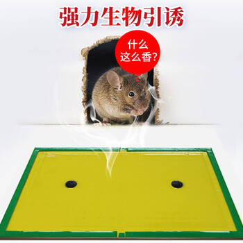 达豪 粘鼠板一不干型粘胶窝老鼠贴捕鼠神器端强力粘板豪华型10张装 
