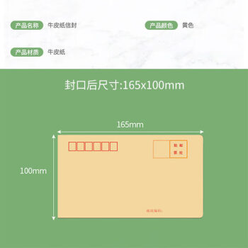 飞尔（FLYER）牛皮纸信封信纸 邮局信工资袋增值税发票专用信封袋【黄色 165x100mm】1000个装