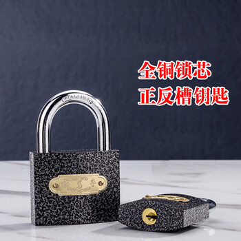 五环精诚 铜芯铁挂锁定制通开 安全防盗抽屉柜子电力表箱锁子 50mm 1把装 