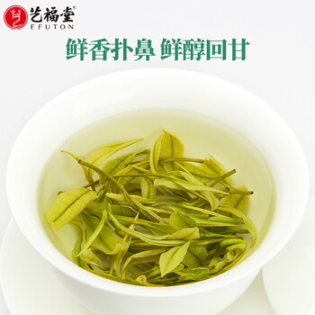 艺福堂绿茶春茶  安吉白茶明前特级100g2024年新茶EFU10 罐装天仙白