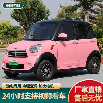 成人全封闭新能源汽车代步车女士微型电瓶家用小型汽车四轮电动车 货