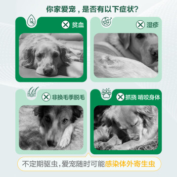 福来恩（FRONTLINE）狗狗驱虫药体外滴剂 宠物去除跳蚤蜱虫药品法国进口小型犬-复方小绿滴 单支装