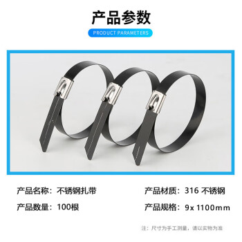 飞尔（FLYER）pvc包塑316不锈钢扎带 自锁式束线扎线带 黑色 9×1100mm 100根/袋