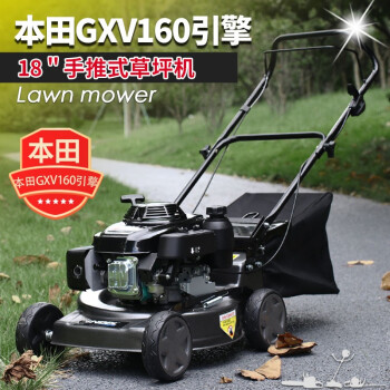 英德尔 本田GXV160割草机手推式草坪机汽油打草机剪草机修剪机除草机