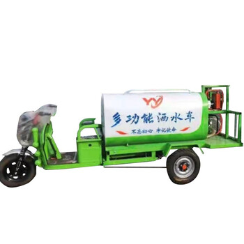 德威莱克DW1500WP雾炮车多功能晒水车