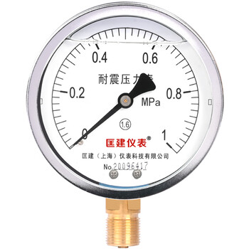 匡建仪表（CONJANT）YTN-100耐震压力表 径向 水压表油压表气压表 表盘直径100mm 充油压力表 0-1MPa