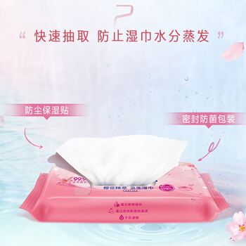 得宝（TEMPO）樱花杀菌湿巾 8片*6包 杀菌率99.9% 温和不刺激 湿纸巾 湿巾小包