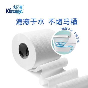 舒洁（Kleenex）金佰利 爱地球 卫生卷纸\4层 130g 小卷卫生纸  200节/卷 24卷/箱 洗手间有芯卫生纸 0562-10