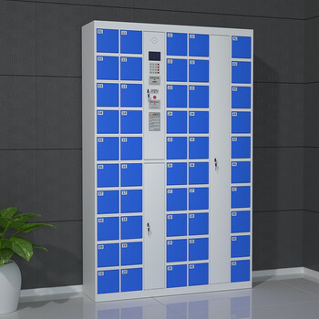 京度 智能手机柜存放柜电子存包柜工厂单位电子储物柜智能柜系统可定制 50门存放柜