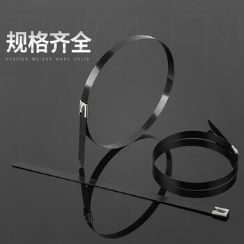 飞尔（FLYER）不锈钢扎带 黑色自锁式 束线带 金属钢带 100根/包【5.6×1200MM】