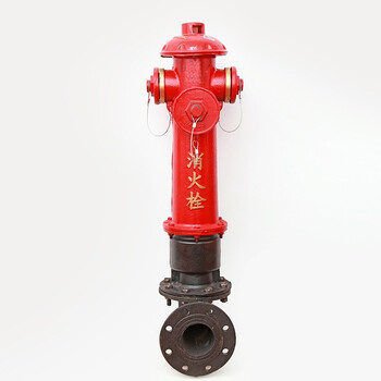 筑华工品 地上消防栓 消防器材 室外消火栓 企业定制 SS100/65-1.6(1.0高)含弯头 一个价