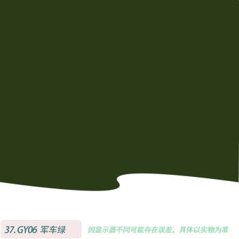 五虎油漆（WU HU PAINT）亮光【国标军绿色 1KG】 1K汽车漆喷漆调配成品漆汽车金属漆全车喷漆翻新烤漆面漆