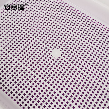 安赛瑞 芽苗菜盘 双层芽苗菜育苗盘小麦水培植盆育苗盆双层多功能芽菜盘 内盘32.3×23.5×3.6cm 紫色 530516