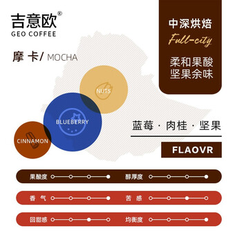 吉意欧GEO醇品摩卡风味咖啡豆500g阿拉比卡豆浆果余味黑咖啡 