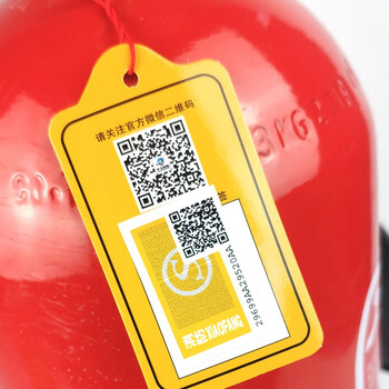 绿消 手提式二氧化碳灭火器3公斤 机房精密仪器灭火器MT/3 消防器材