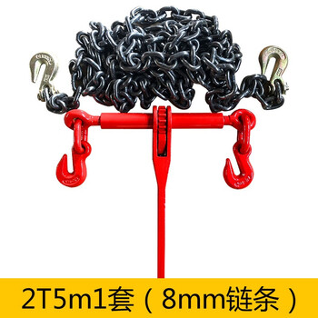 万尊 棘轮拉紧器链条收紧器大件运输捆绑器紧绳器 2T5m1套-8mm链条