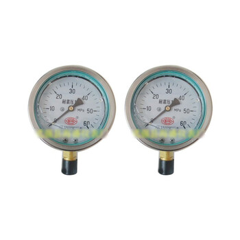 普特 YN150 0-60Mpa 径向 耐震压力表 1块（2块起拍）