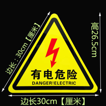 飞尔（FLYER）有电危险 安全警示标识夜光标贴 PVC不干胶贴 15cm红色闪电 5张起订
