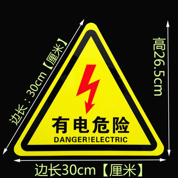 飞尔（FLYER）标识贴 有电危险 安全警示标识 PVC不干胶贴 12cm红色闪电 5张起订