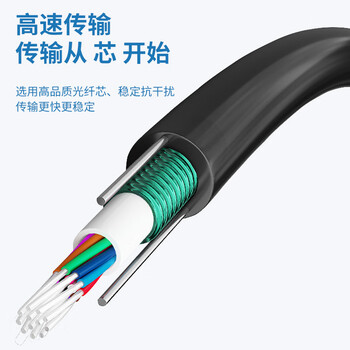 千天 Qantop 单模GYXTW中心管式铠装光缆8芯 室外架空地埋光缆3000米 QT-GYXTW-8B1-3000