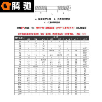 腾驰（CT）037 等长双头螺柱 GB901B 304不锈钢 加长丝杆 M20/M22系列  M20*145（5支）