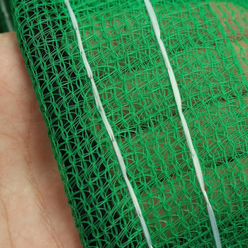 安惠（ANHUI）安全网阻燃安全密目网1.5*6m 定做 1张