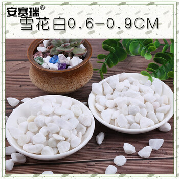安赛瑞 白色石子（5kg）雪花白小白石子垃圾桶烟灰用鹅卵石多肉铺面水族箱鱼缸石石径0.6-0.9cm 500042