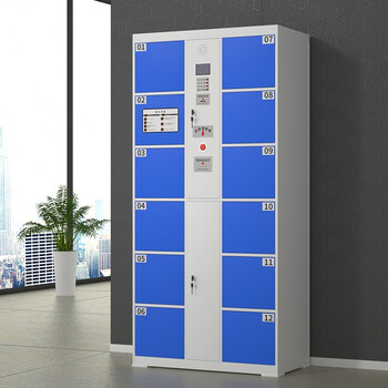 京度电子存包柜商场超市寄存柜单位智能寄存柜储物柜可定制条码款12门