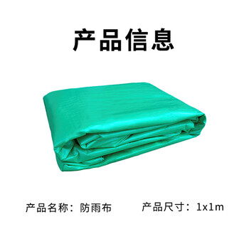 飞尔（FLYER）防雨布 防水布遮阳户外防晒雨布 蓬布加厚遮雨帆布【1m×1m装】50米起订