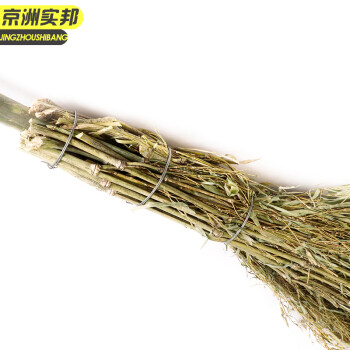 京洲实邦 竹竿扫把10把装 手工竹扫帚竹笤帚物业大扫把环卫JZSB-9291