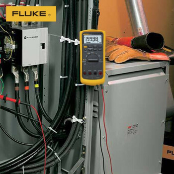 福禄克（FLUKE）F87-V/CN 掌上型数字万用表真有效值 多用表