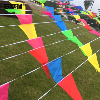 安赛瑞 三角旗串旗 18.5×13cm 10条 工地警示旗会场布置小彩旗 开张婚庆装饰吊旗 26354