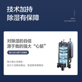 格力（GREE）【低噪小体积】除湿机/抽湿机家用除湿量12升/天单间参考面积24平24H定时除湿器DH12EN