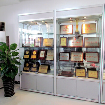 荣誉证书展示柜奖杯奖牌精品积分陈列柜办公室样品展柜产品货架 50*50