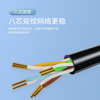 千天（Qantop）CAT5室外无氧铜非屏蔽成品带水晶头网线 50米 QT-W111H